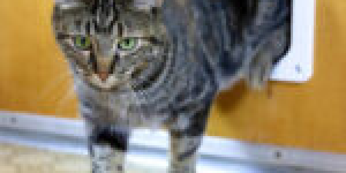 Take A Look At You The Steve Jobs Of The Cat Door Assembly Industry